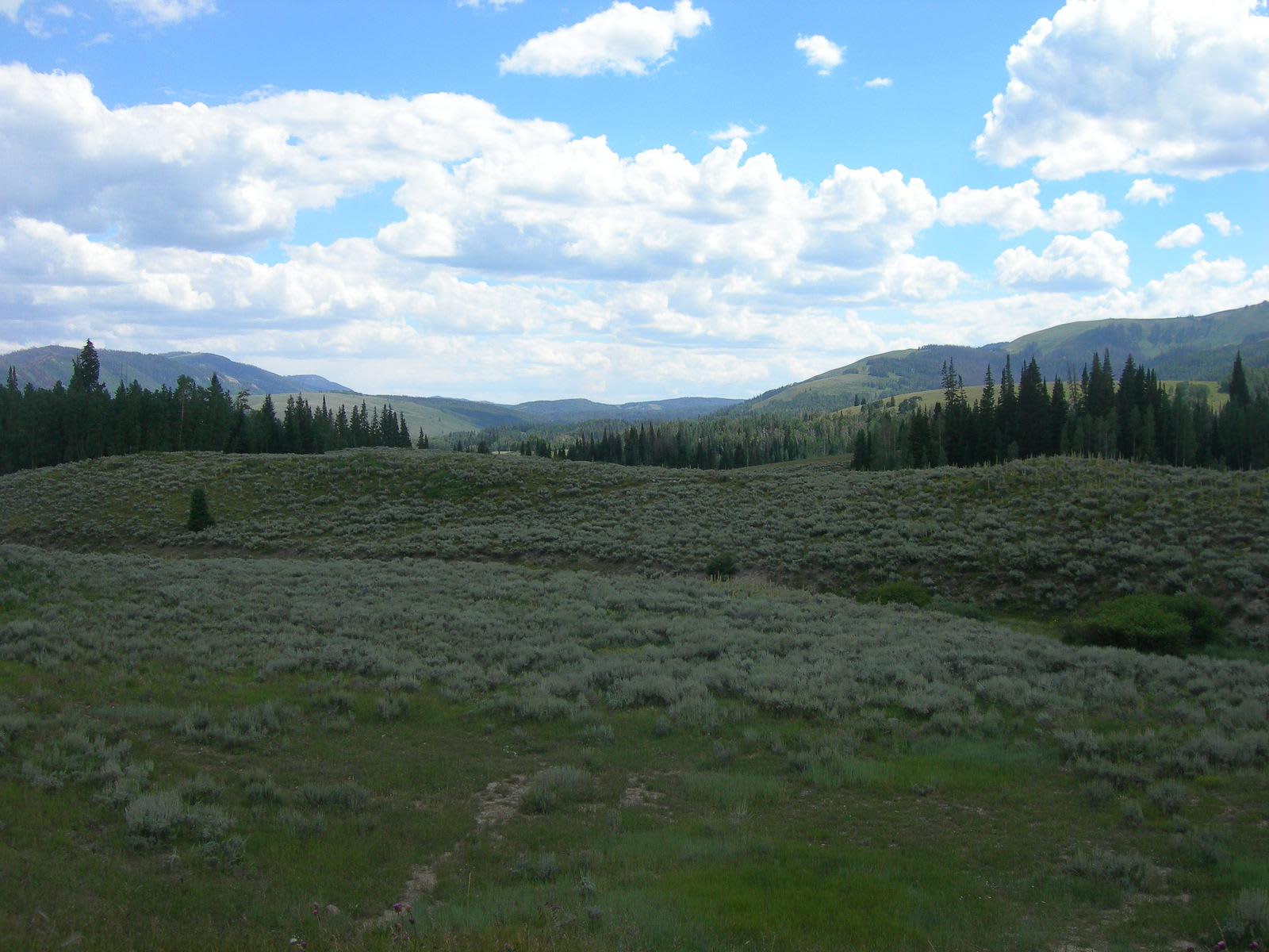 Huntington-Eccles Canyons Scenic Byway Utah