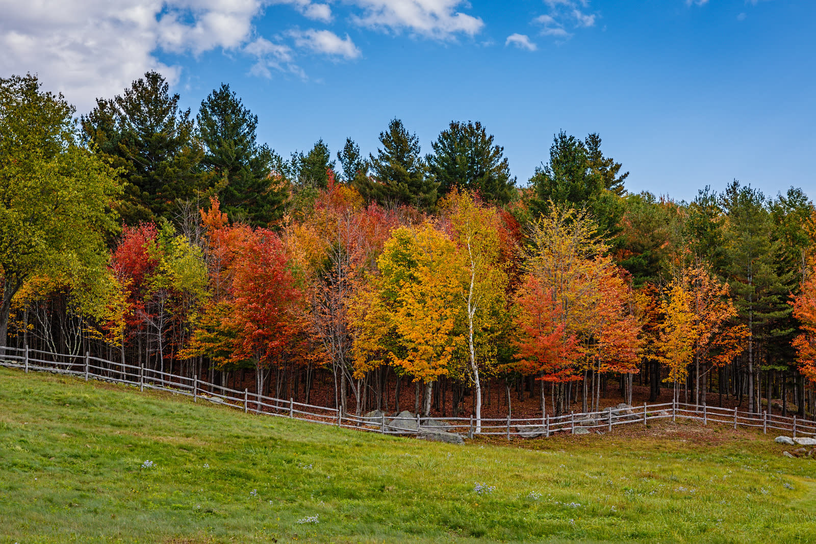 Shires of Vermont Vermont