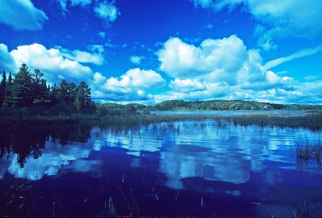 Boulder Junction Beauty Wisconsin