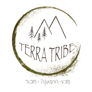 אלה ^
