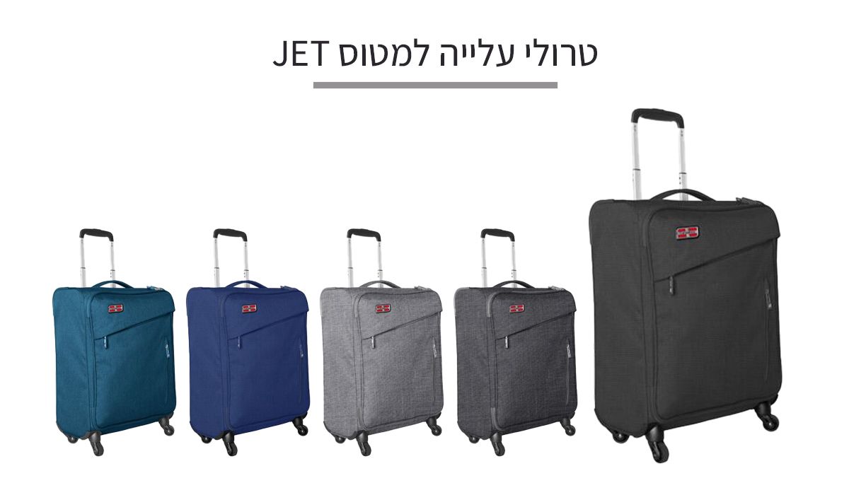 פרטי הפעילות