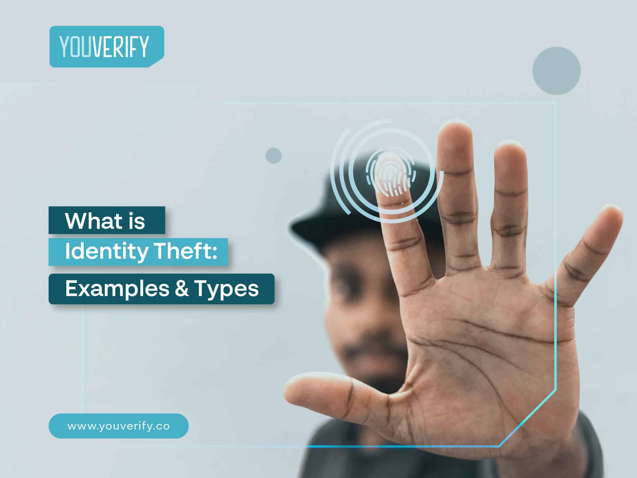 What is Identity Theft: Examples and Types