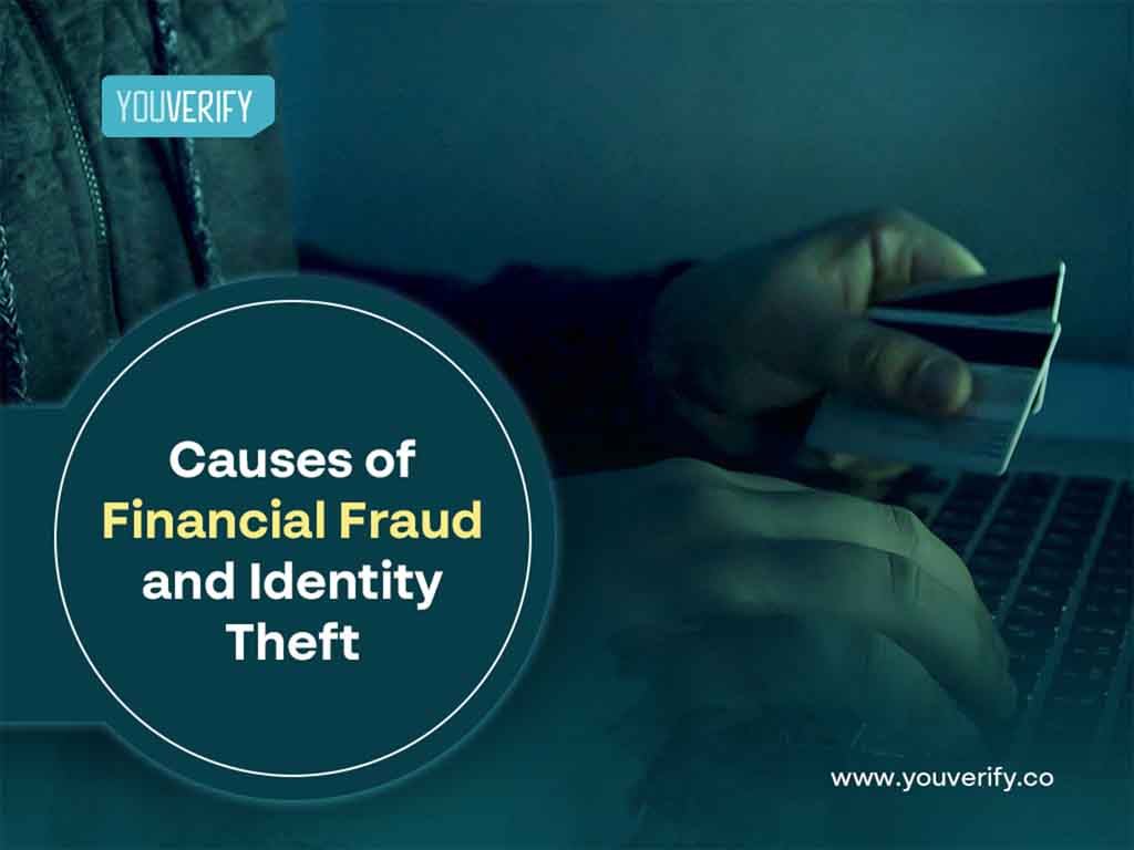 What Are The Causes of Financial Fraud and Identity Theft?