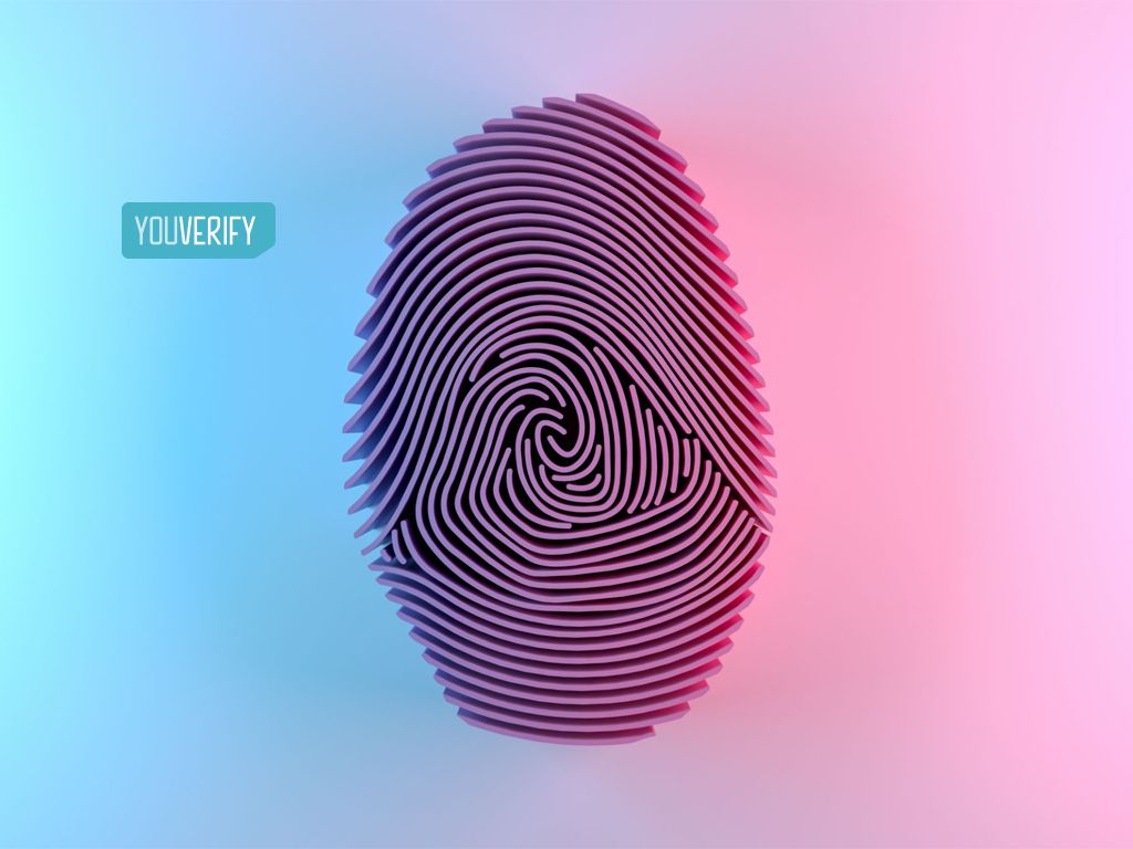 Digital Identity Firms Launch Association Of Data Verification Service Providers In Nigeria