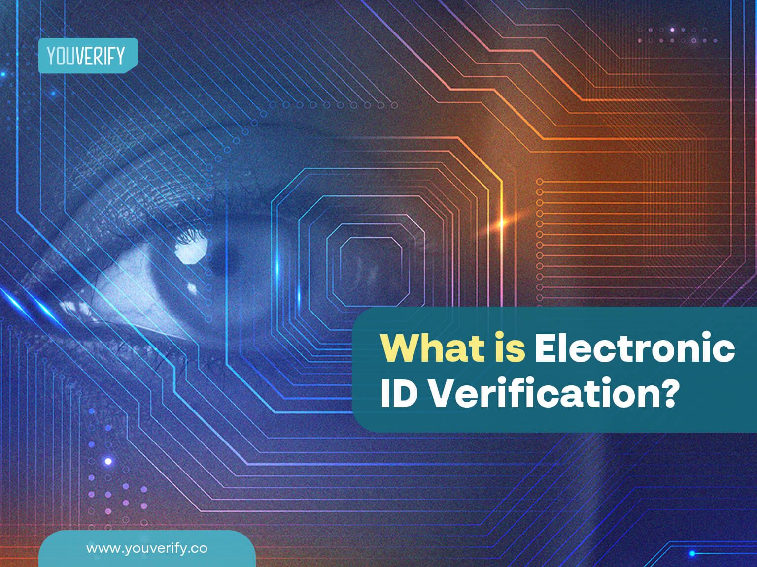 What is Electronic ID Verification