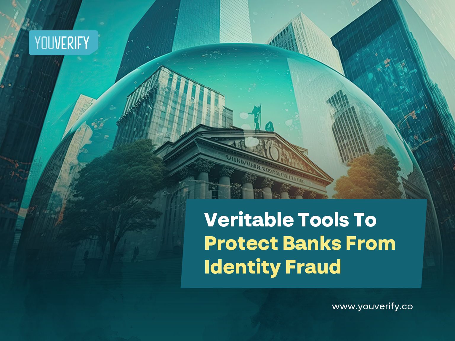 Veritable Tools To Protect Banks from Identity Fraud