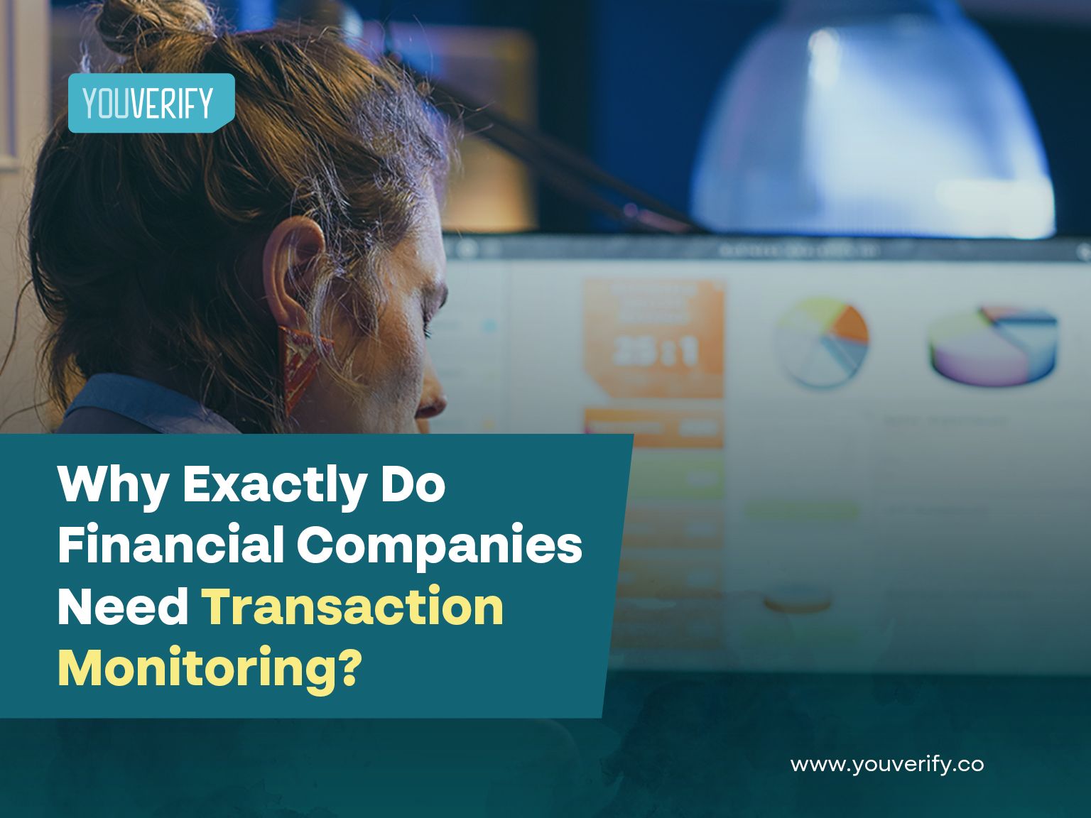 Why Financial Companies Need Transaction Monitoring.