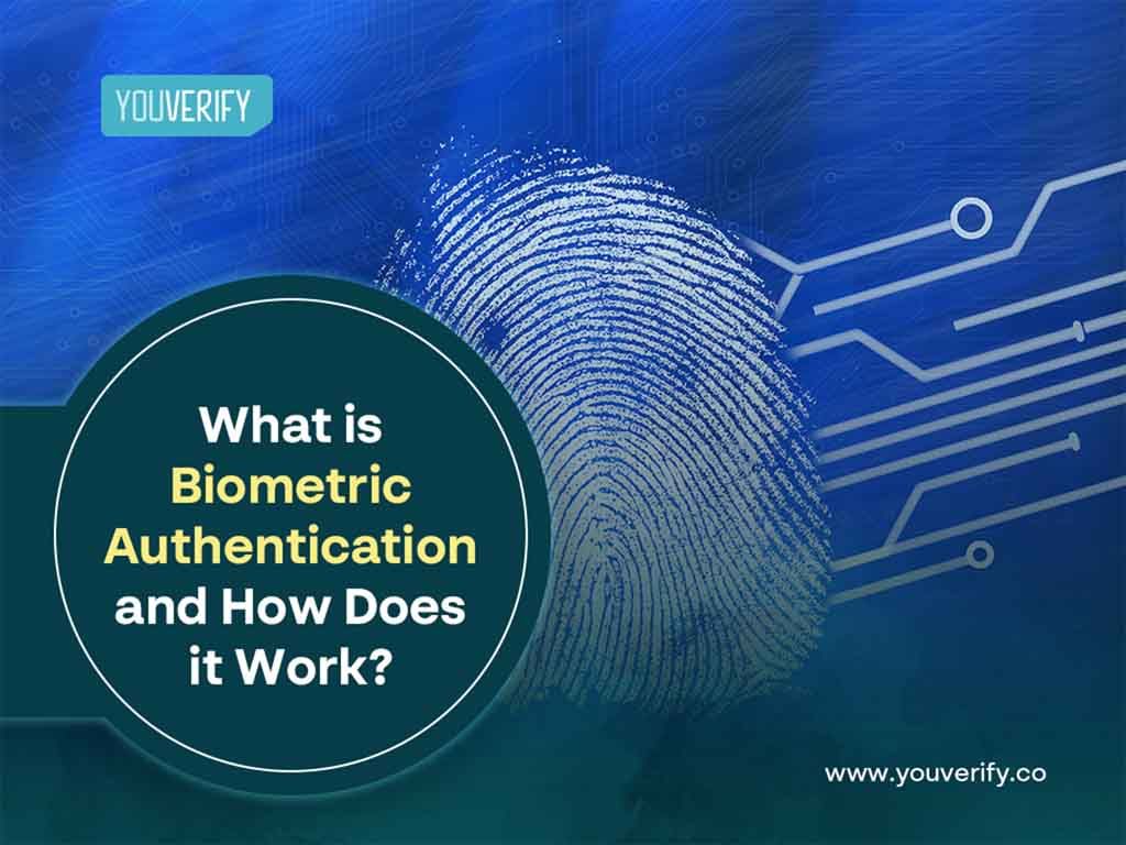 What is Biometric Authentication and How Does it Work?