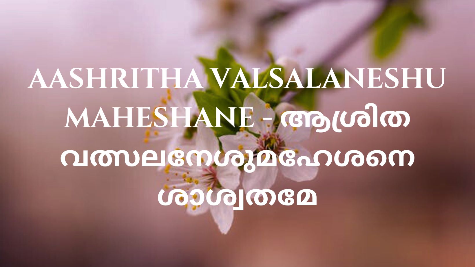 Aashritha Valsalaneshu Maheshane - thegospelwords.com