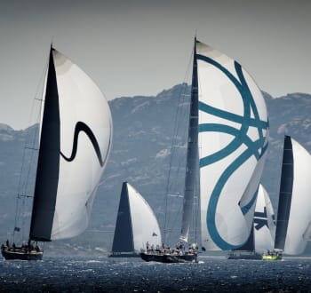 Sailing yachts in a regatta