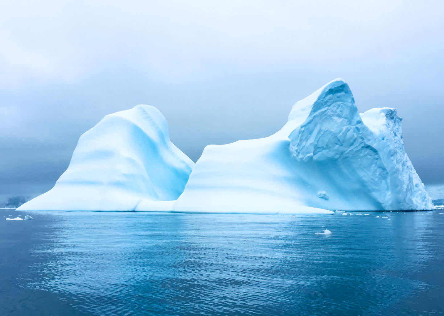 Explorer Yacht Charter King George Island