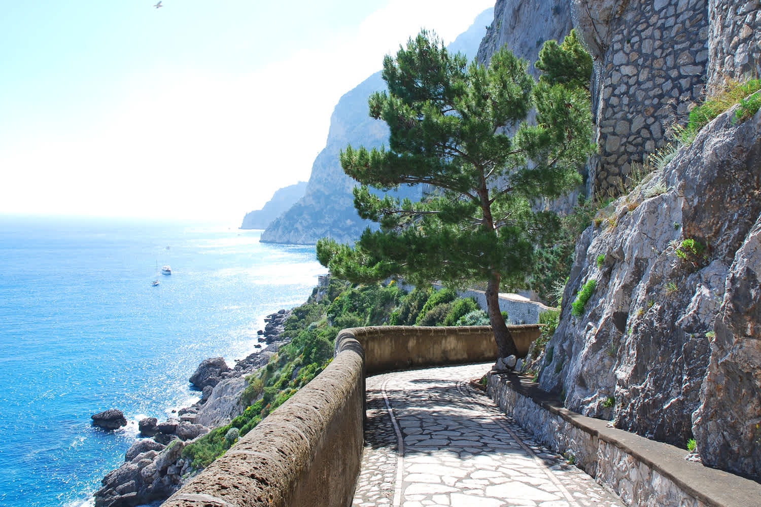 Superyacht Charter Capri