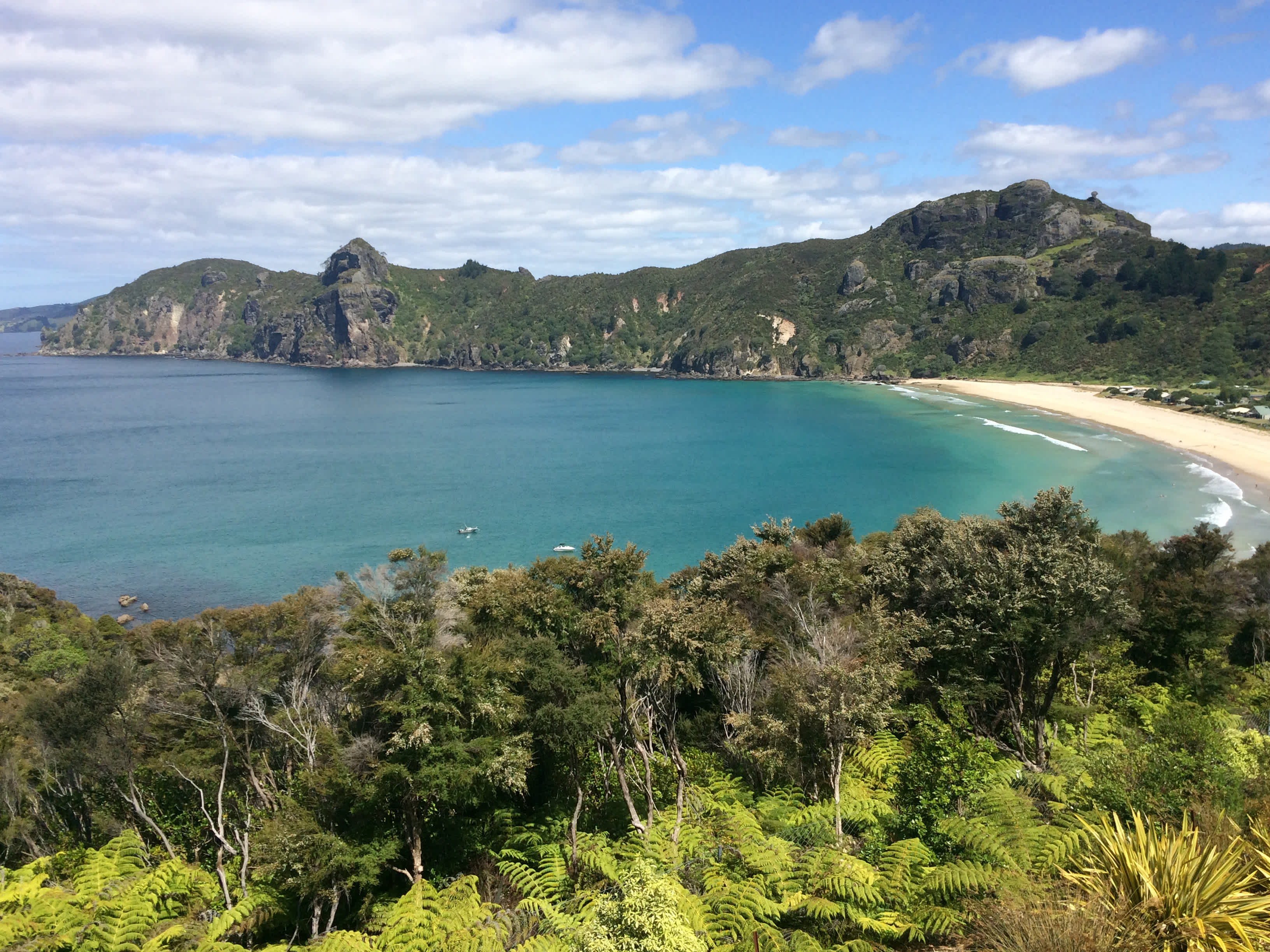 Superyacht Charter Whangaroa Harbour