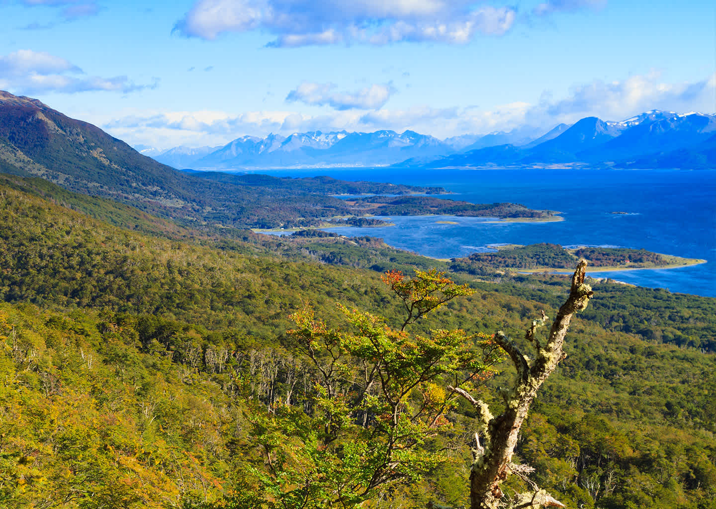 Superyacht Charter Puerto Williams