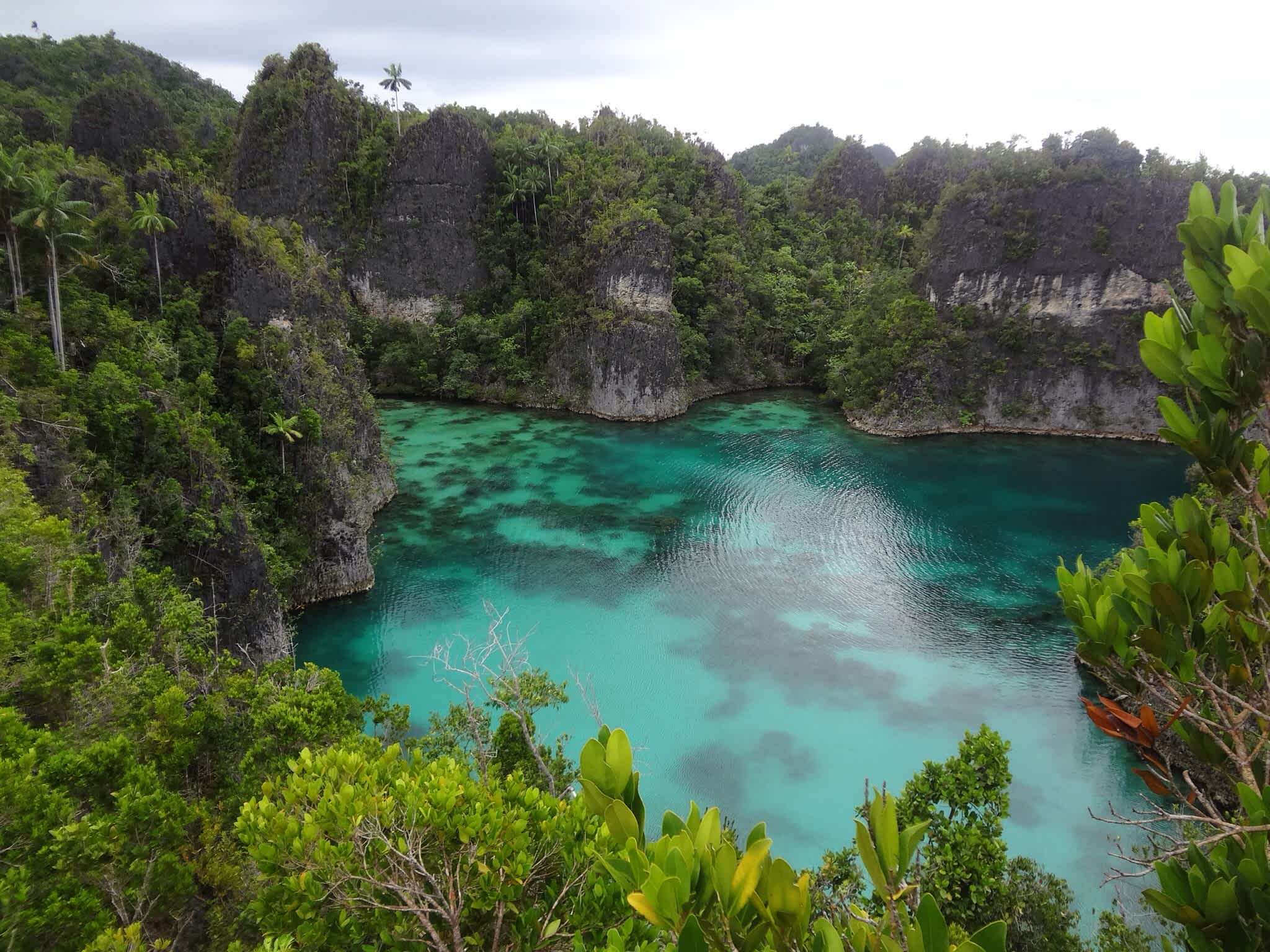 Superyacht Charter Sorong