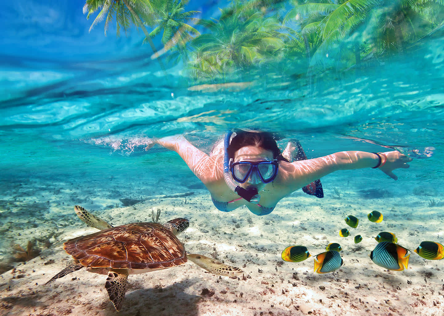 Superyacht Charter Coco Bandero Cays