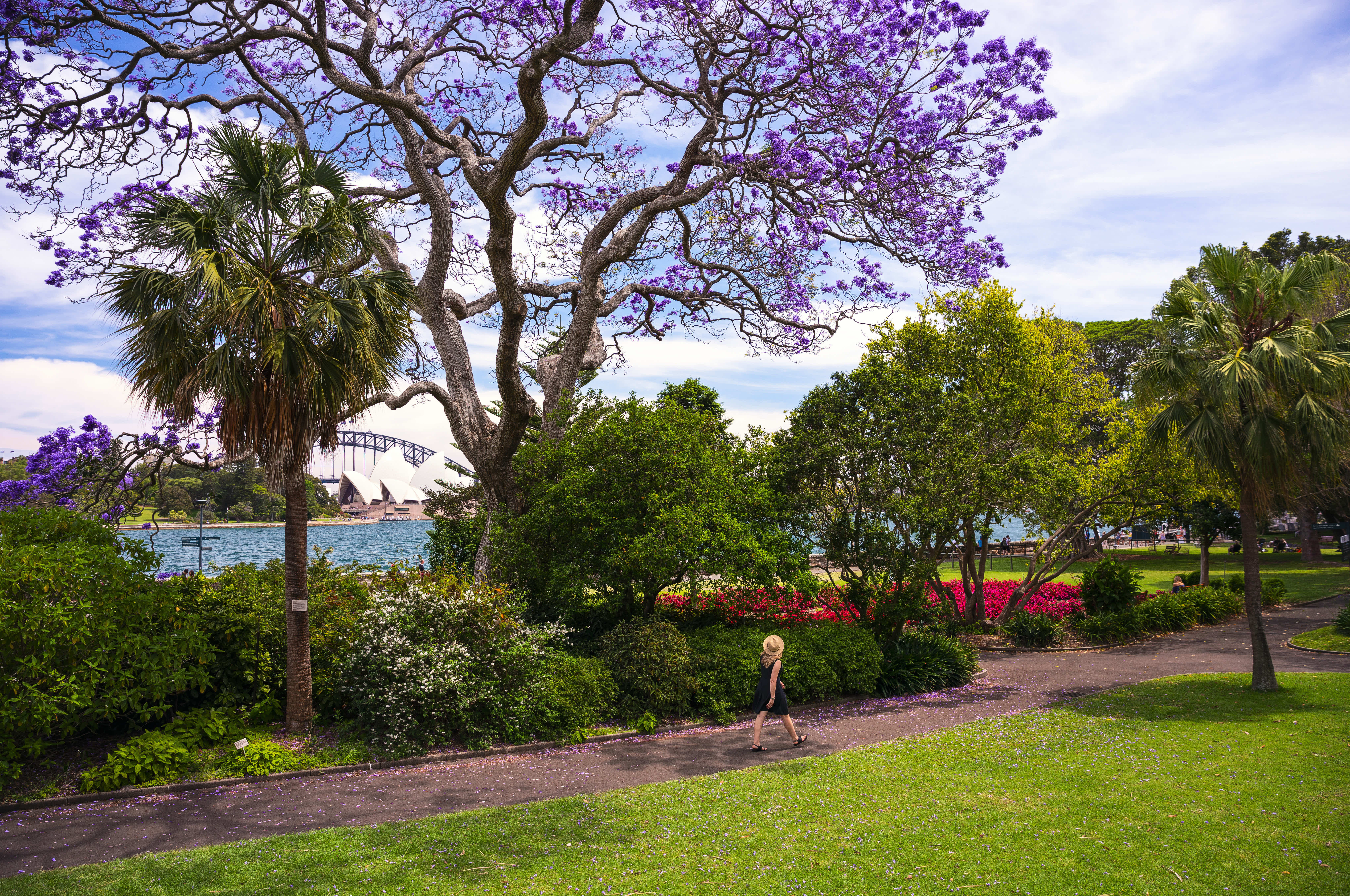 Superyacht Charter Athol Bay