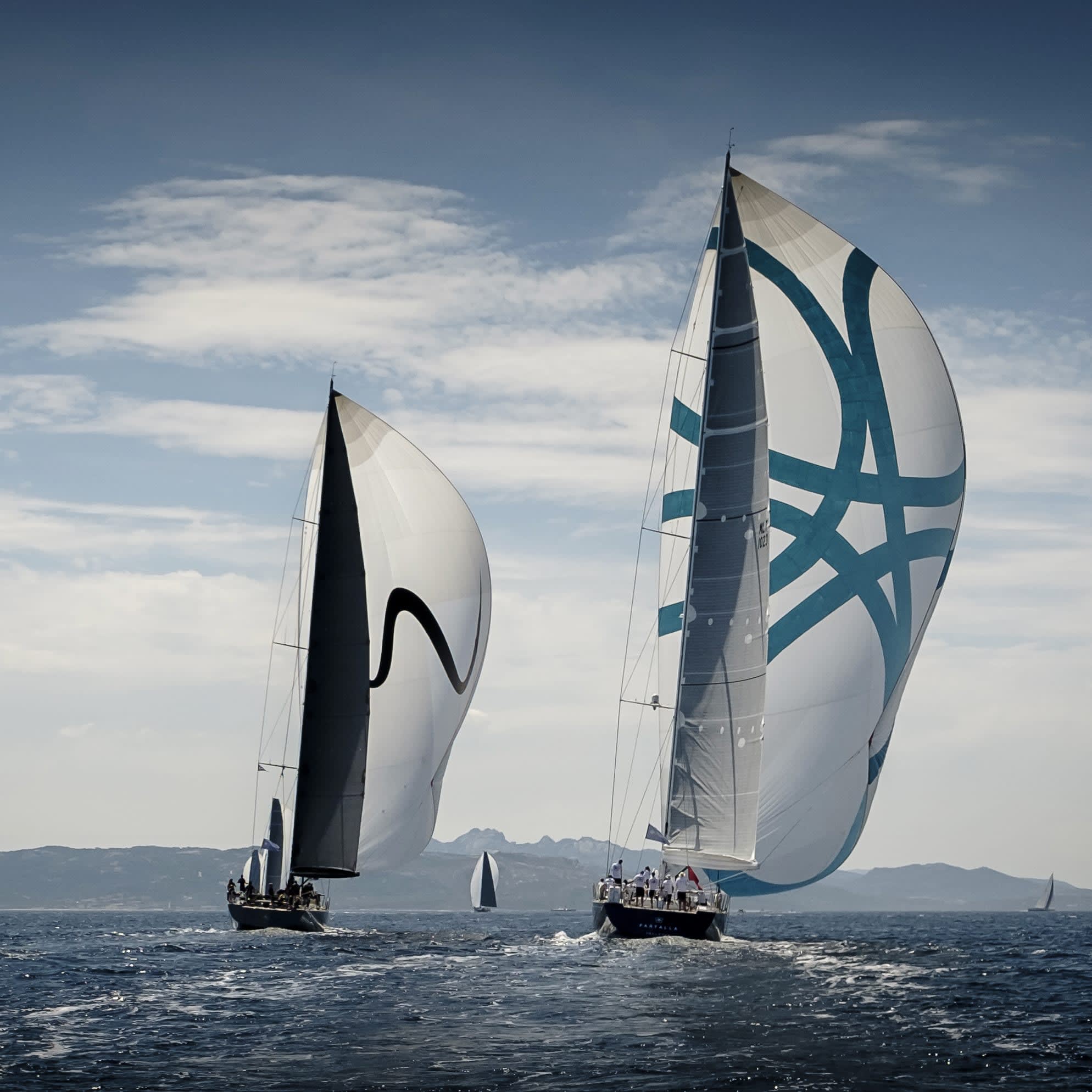 Sailing yacht racing experts