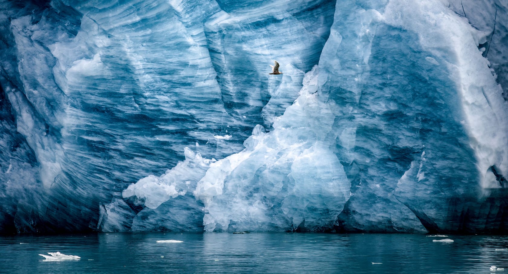 YPI charity partnerships