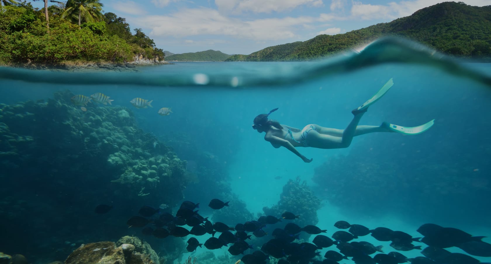 Sustainability: women snorkelling under water with fish