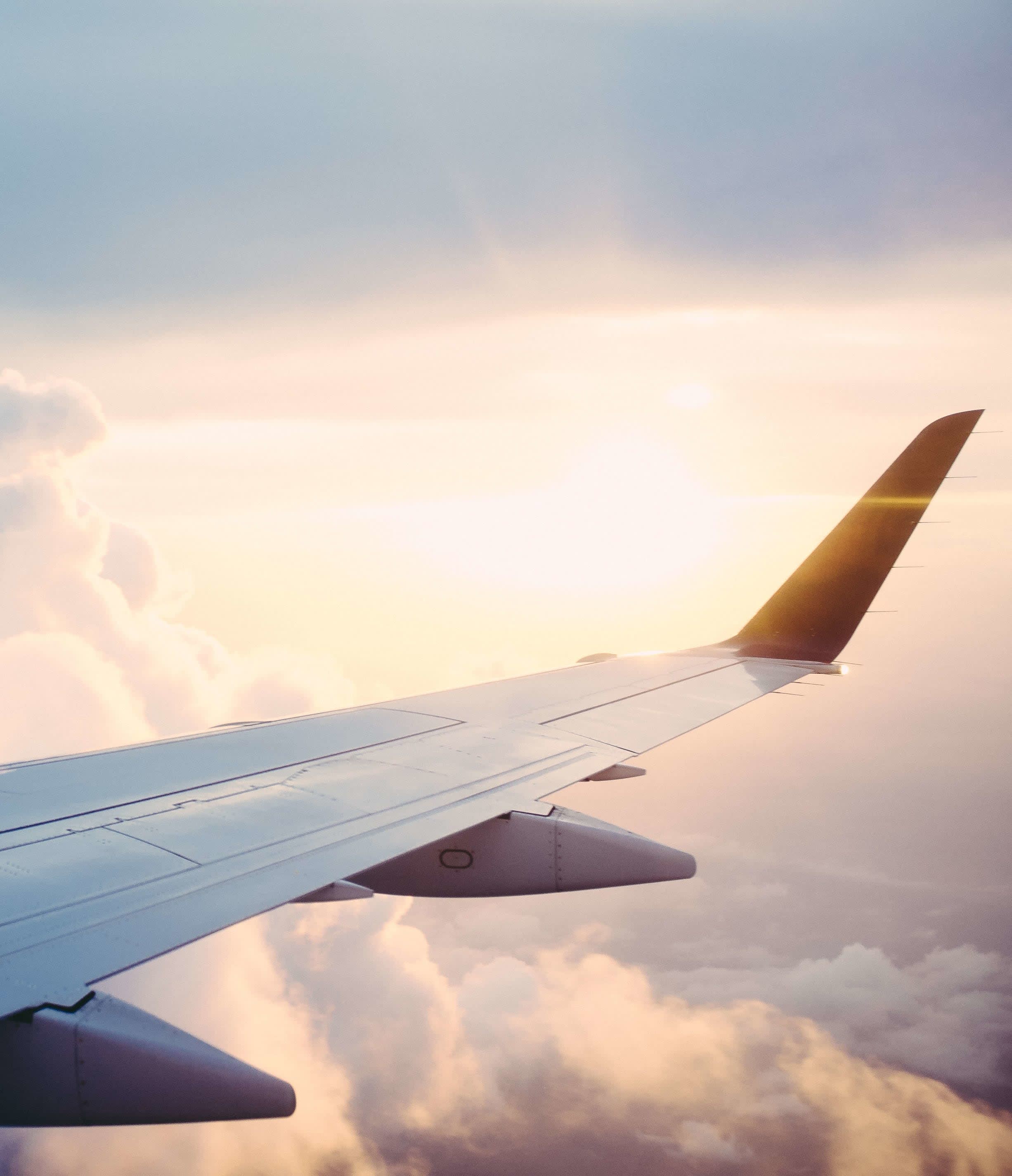 Carbon - an aeroplane wing