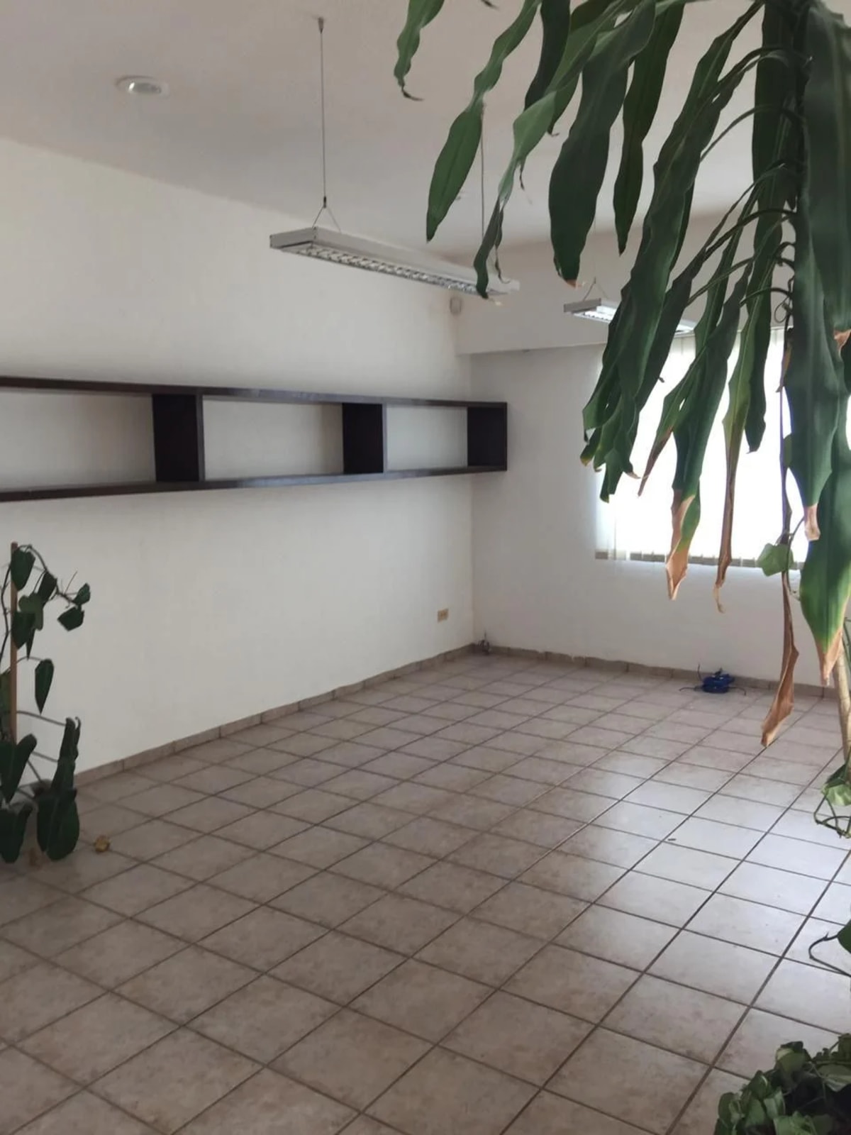 Casa 3 Recámaras, 3.5 Baños en Cancún cerca Puerto — foto 19