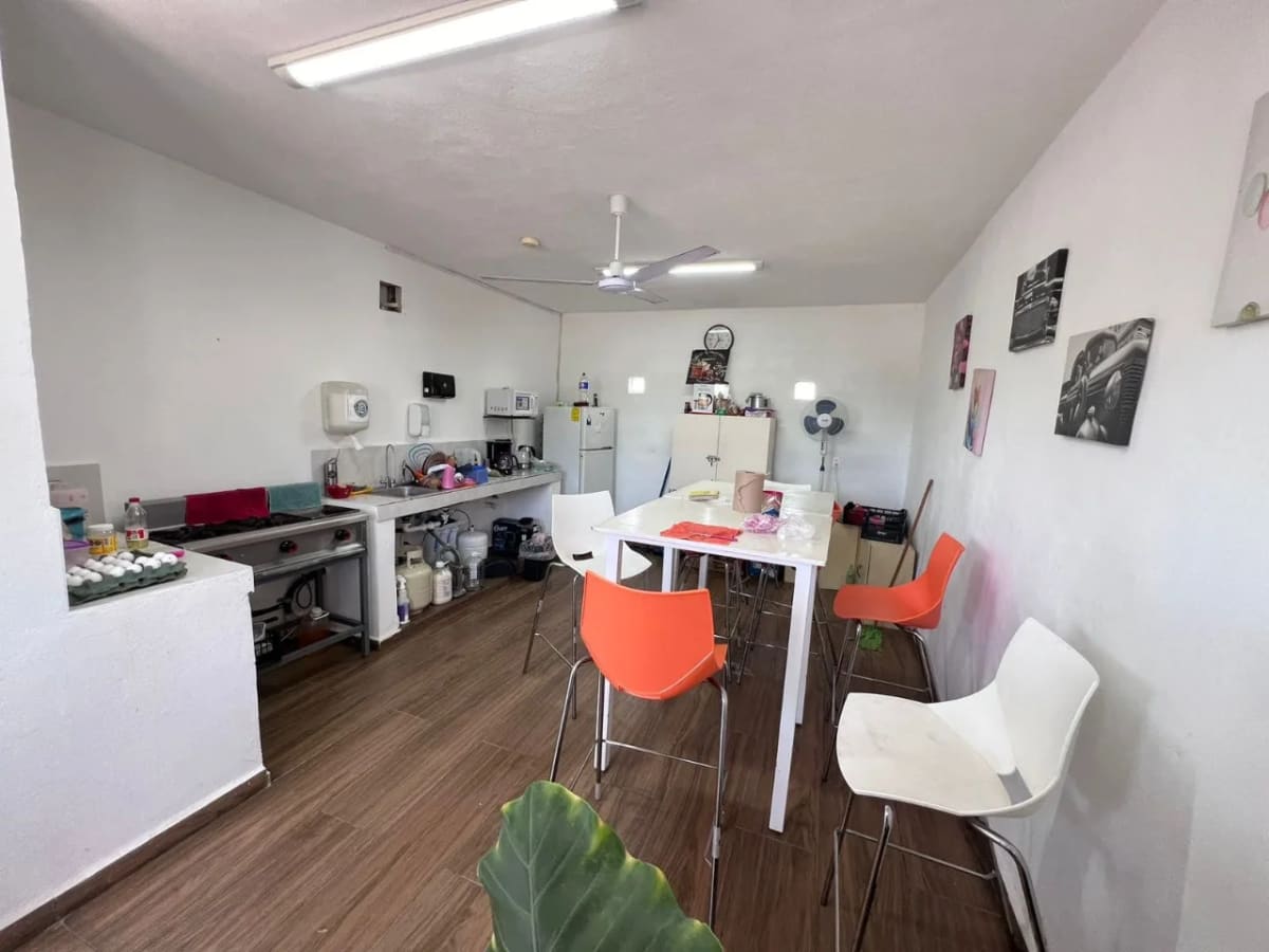 BODEGA — foto 5