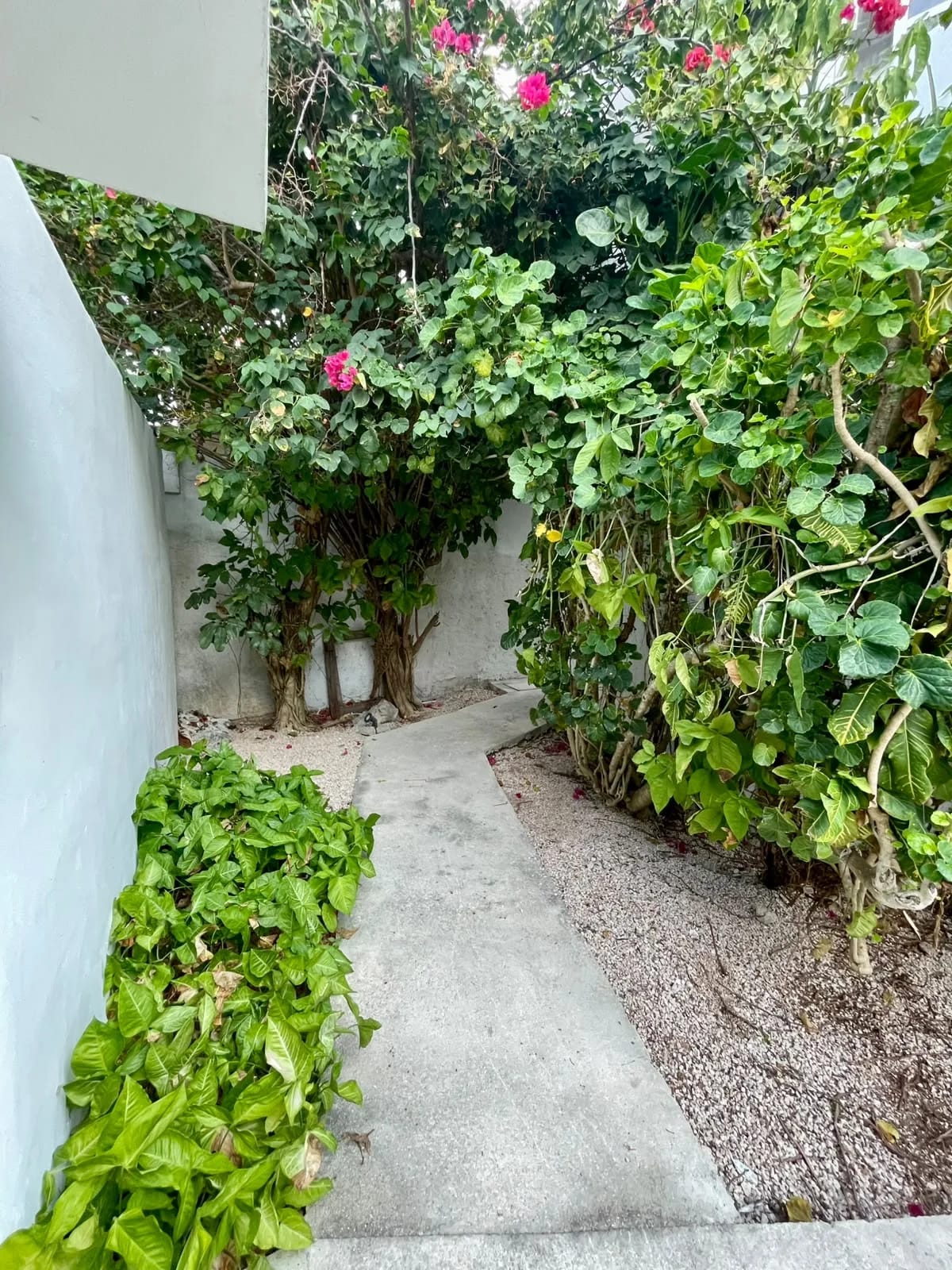 EDIFICIO en Venta en Cancún 10 Habitacciones, 10 Baños — foto 10