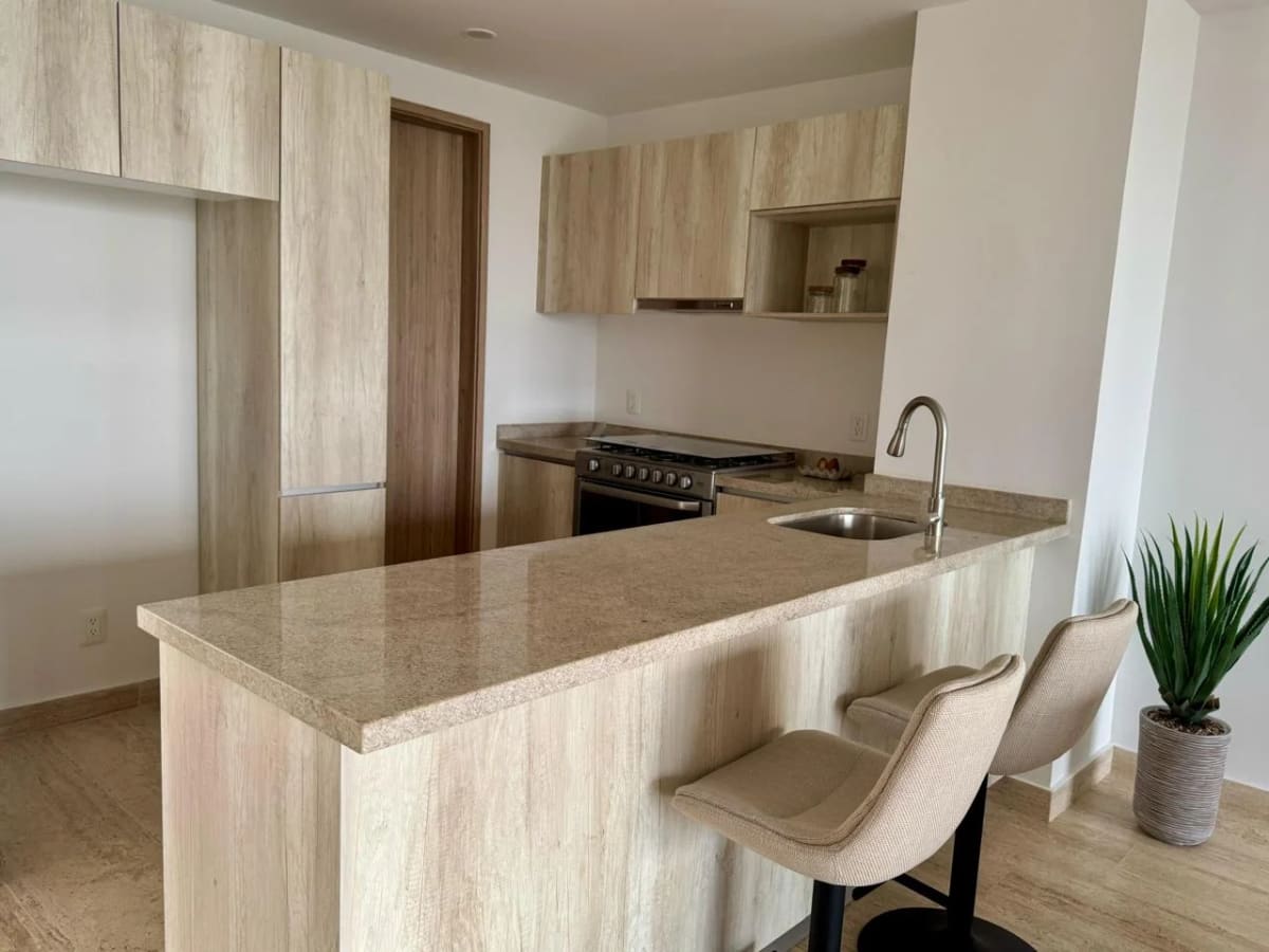 PENTHOUSE AMUEBLADO EN RENTA — foto 5