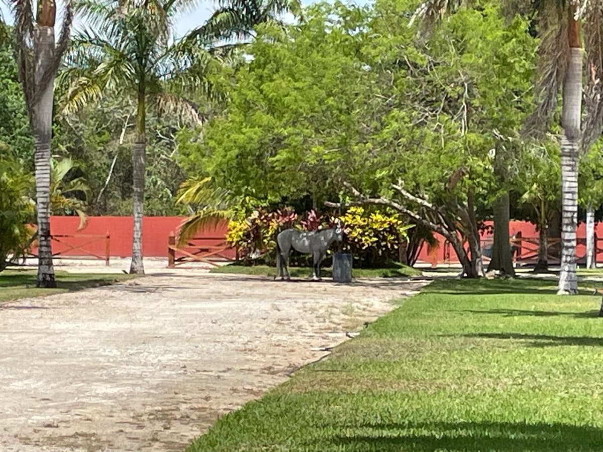 HOTEL BOUTIQUE EN VENTA, Cancún — foto 7