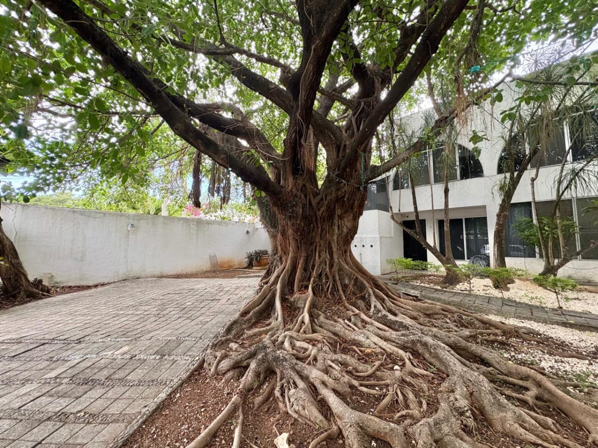 ATENCIÓN INVERSIONISTAS, Edificio En Venta, Cancún! — foto 2