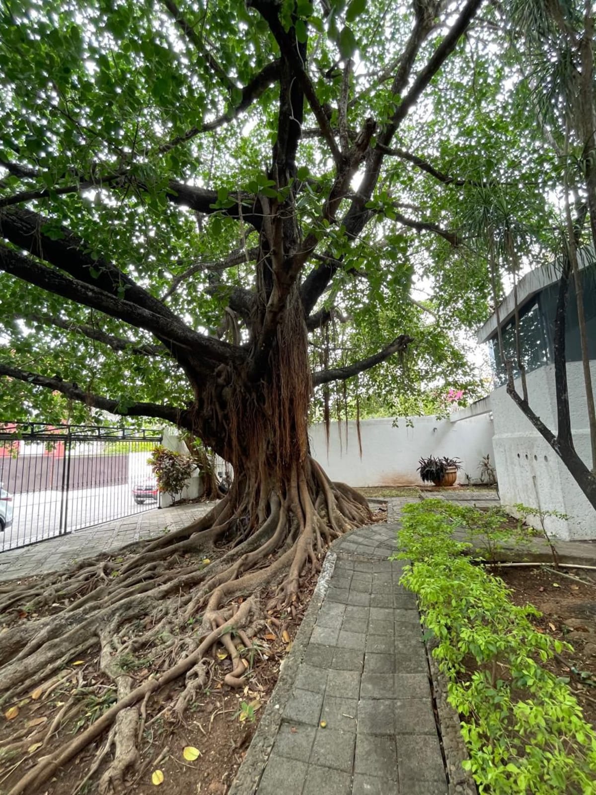 ATENCIÓN INVERSIONISTAS, Edificio En Venta, Cancún!