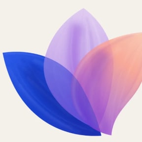 Cobalt Bloom