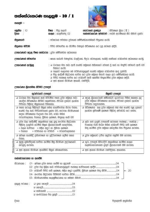 Grade 10 Art Assessment Plan