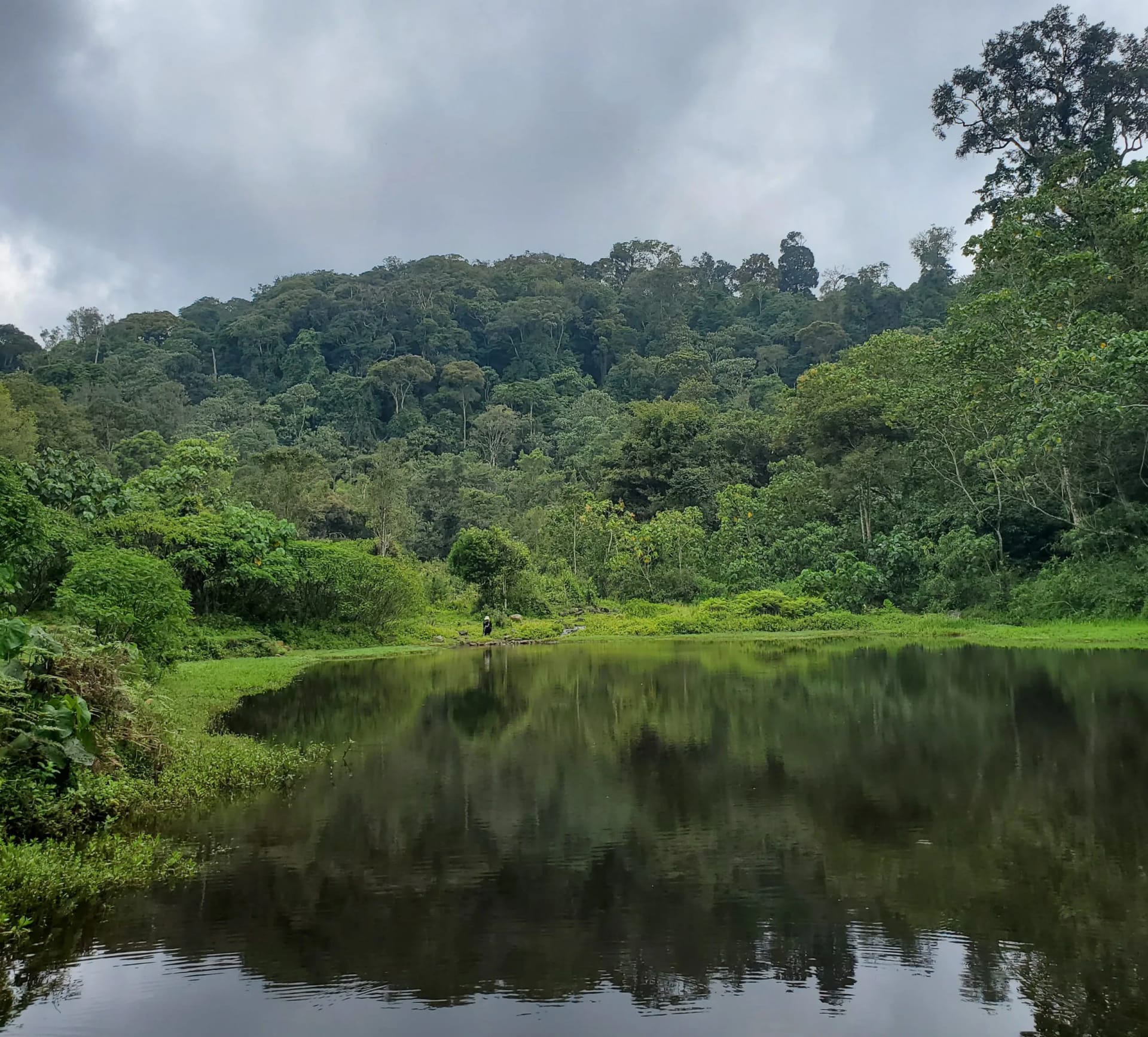 Ragati Forest & Waterfalls Chase Hike photo 2