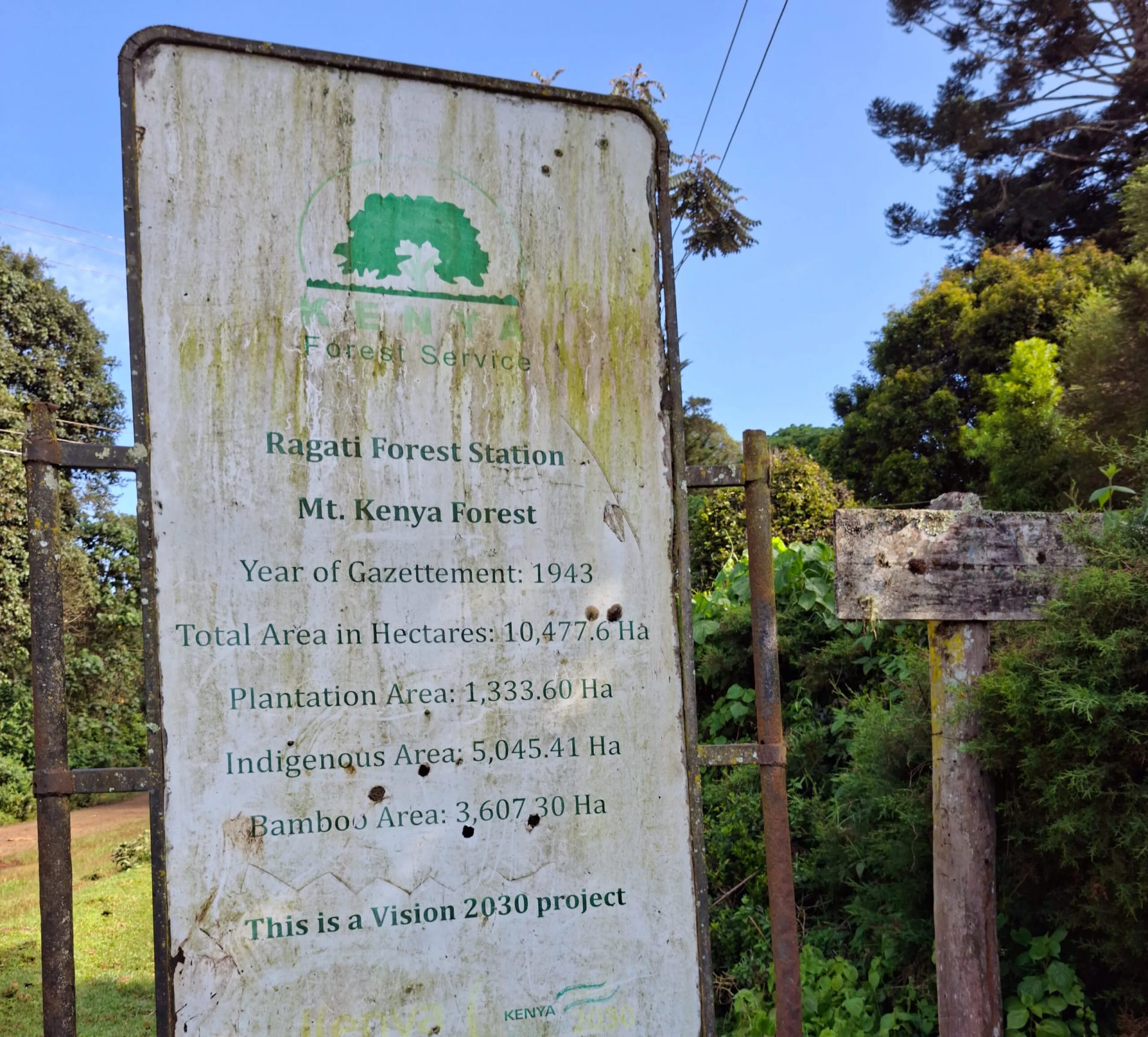 Ragati Forest & Waterfalls Chase Hike