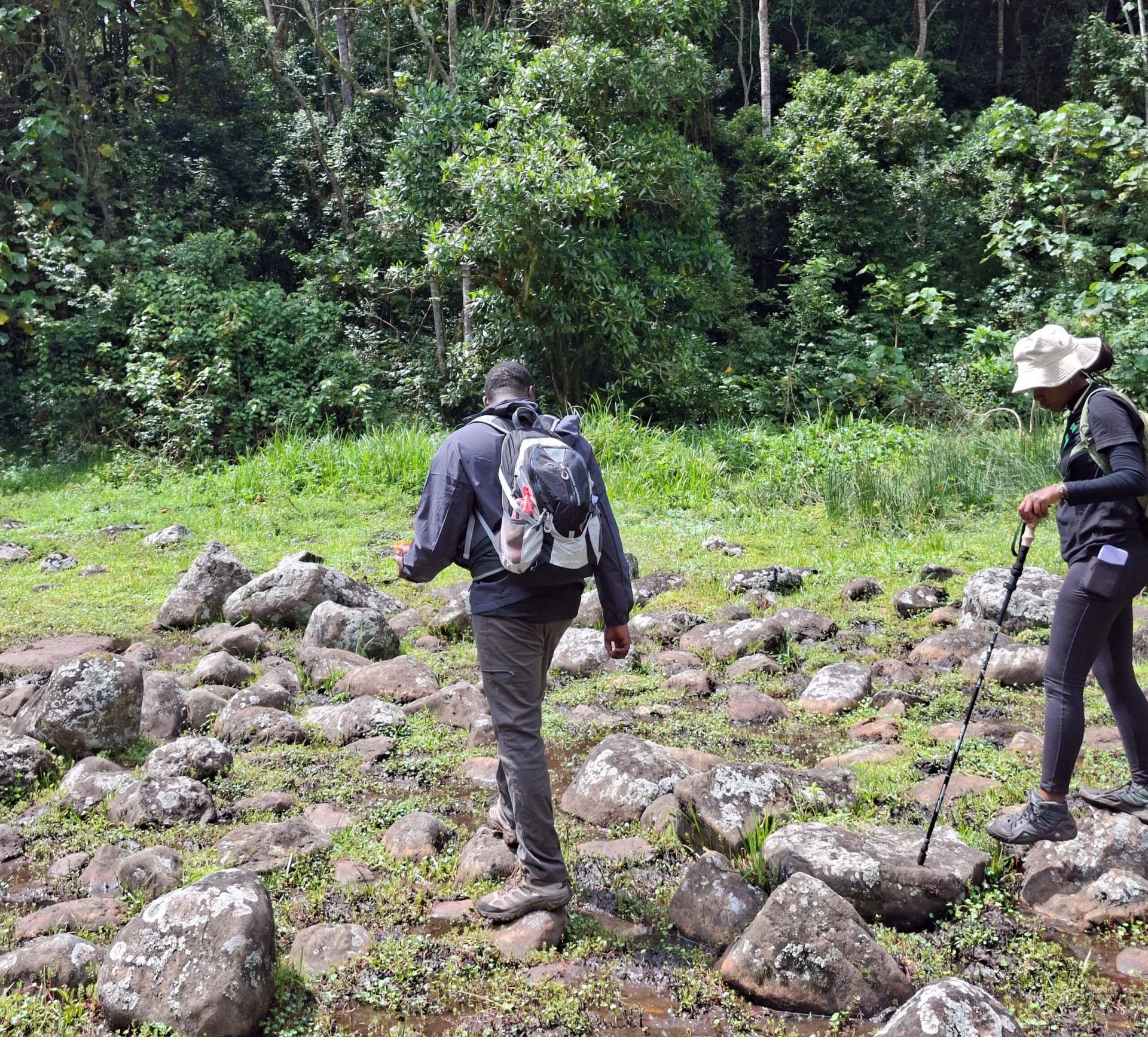 Ragati Forest & Waterfalls Chase Hike photo 5