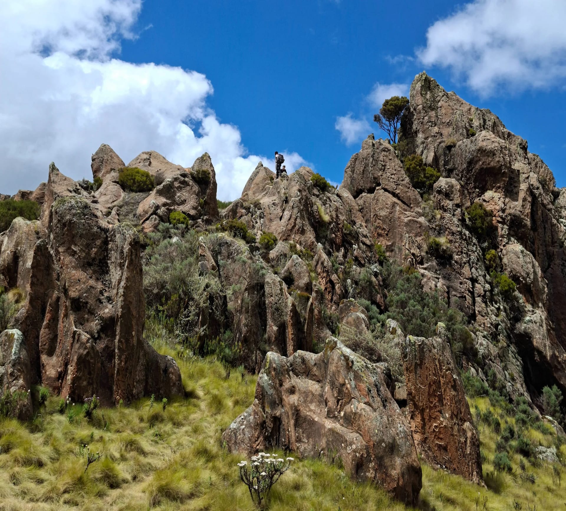 Oldoinyo Lesatima Dragon's Teeth Hike photo 3
