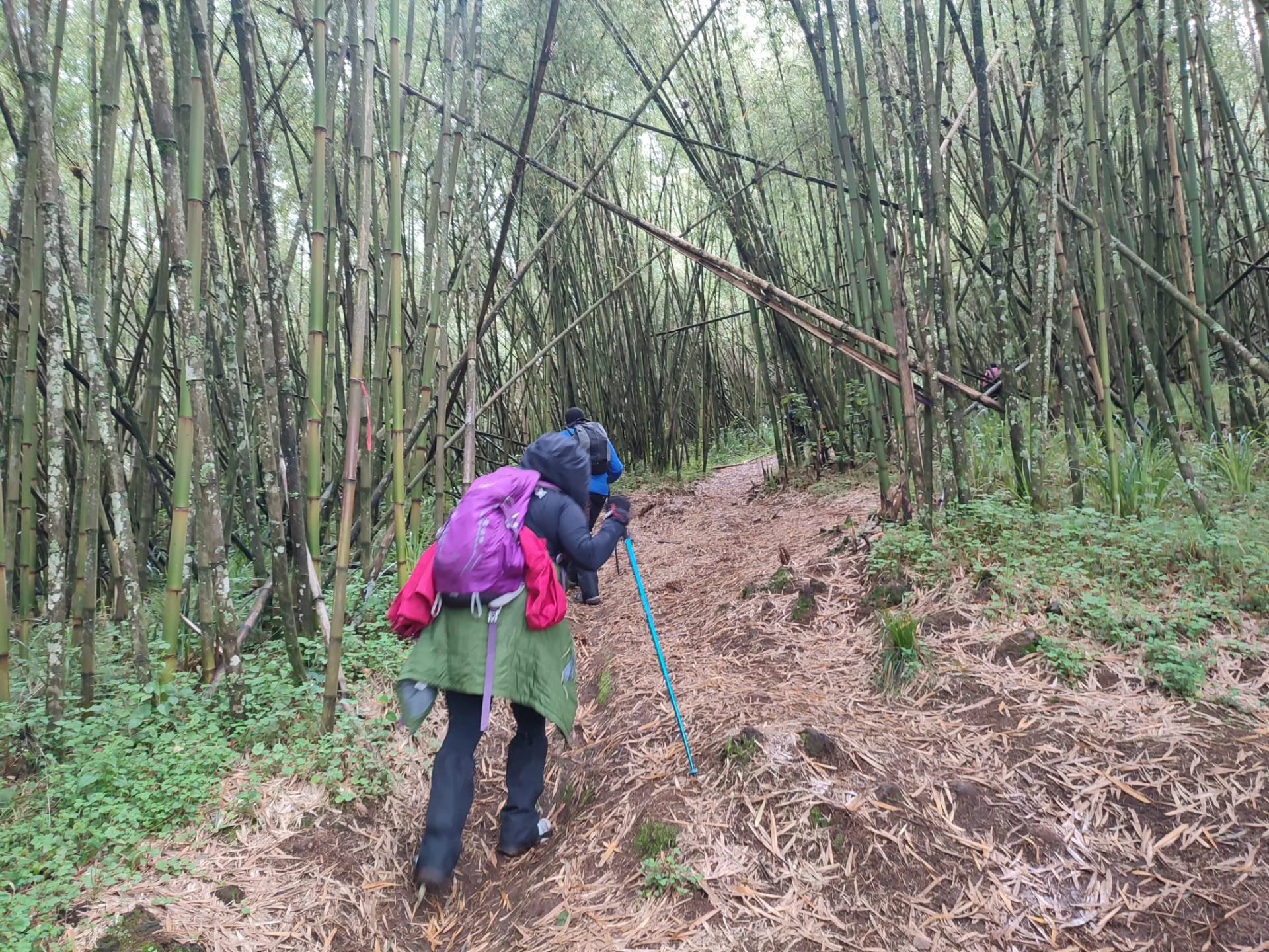 Elephant Hill Aberdares Hike photo 2