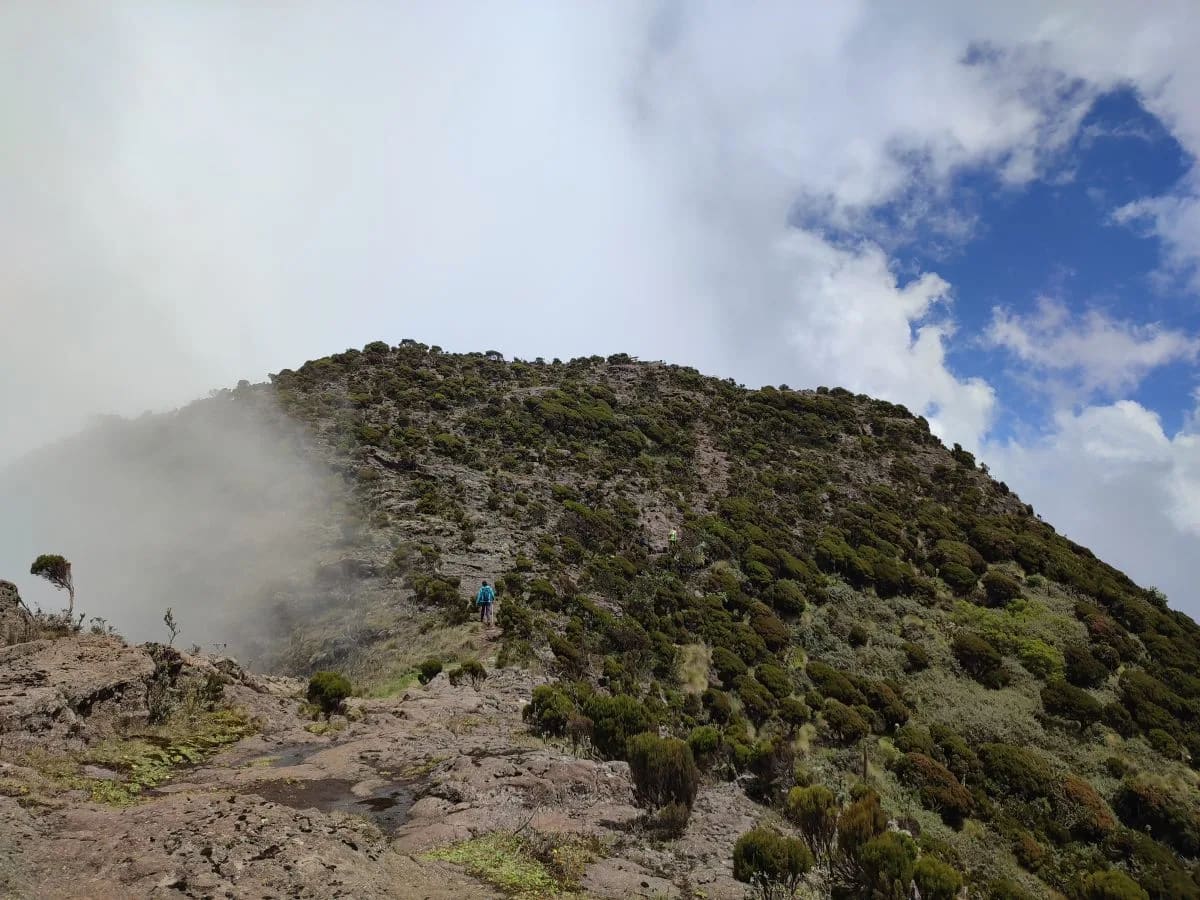Elephant Hill Aberdares Hike