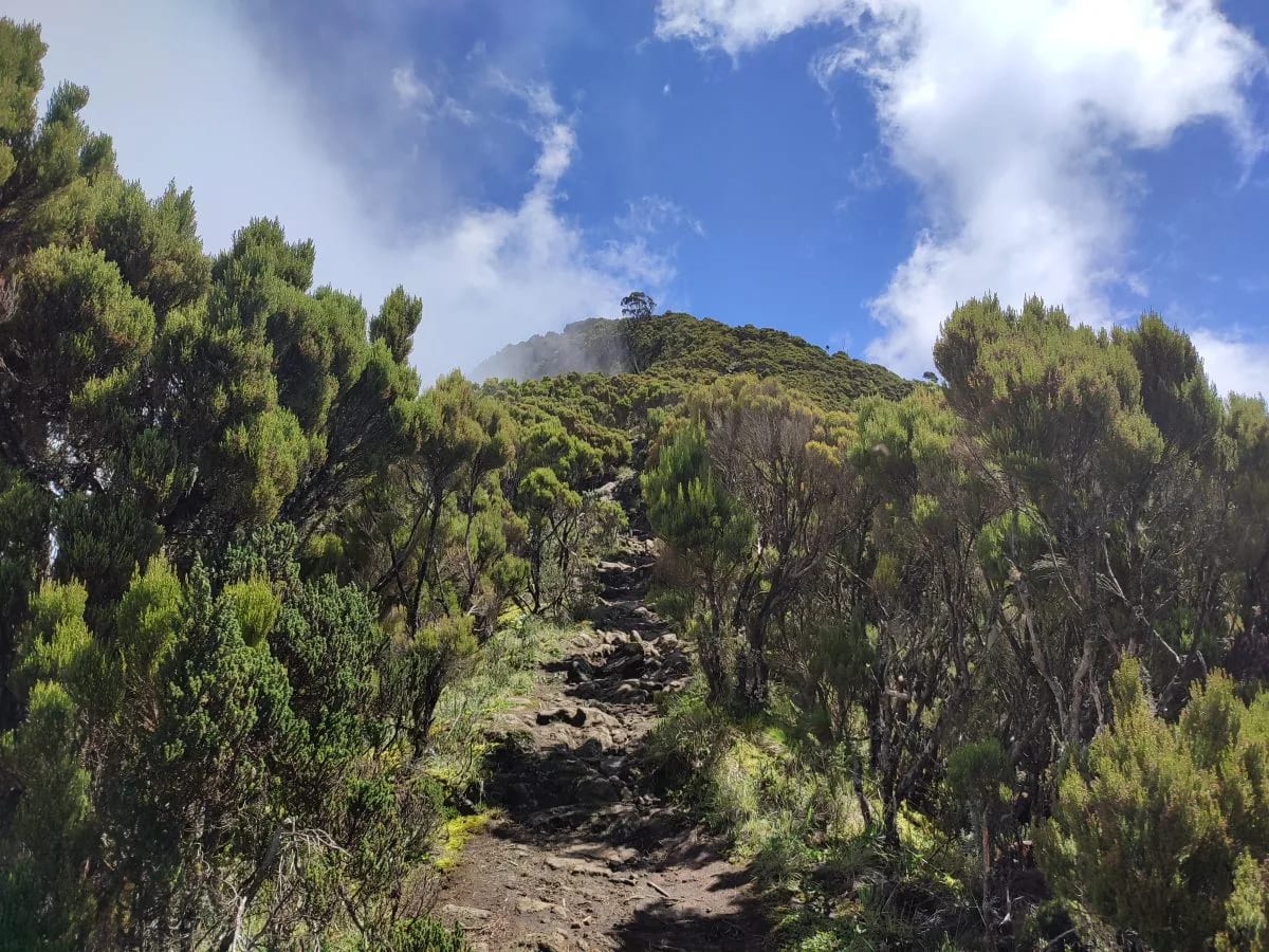 Elephant Hill Aberdares Hike photo 4