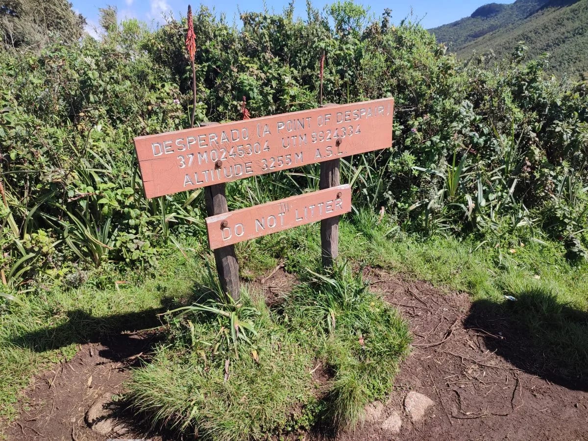 Elephant Hill Aberdares Hike photo 5