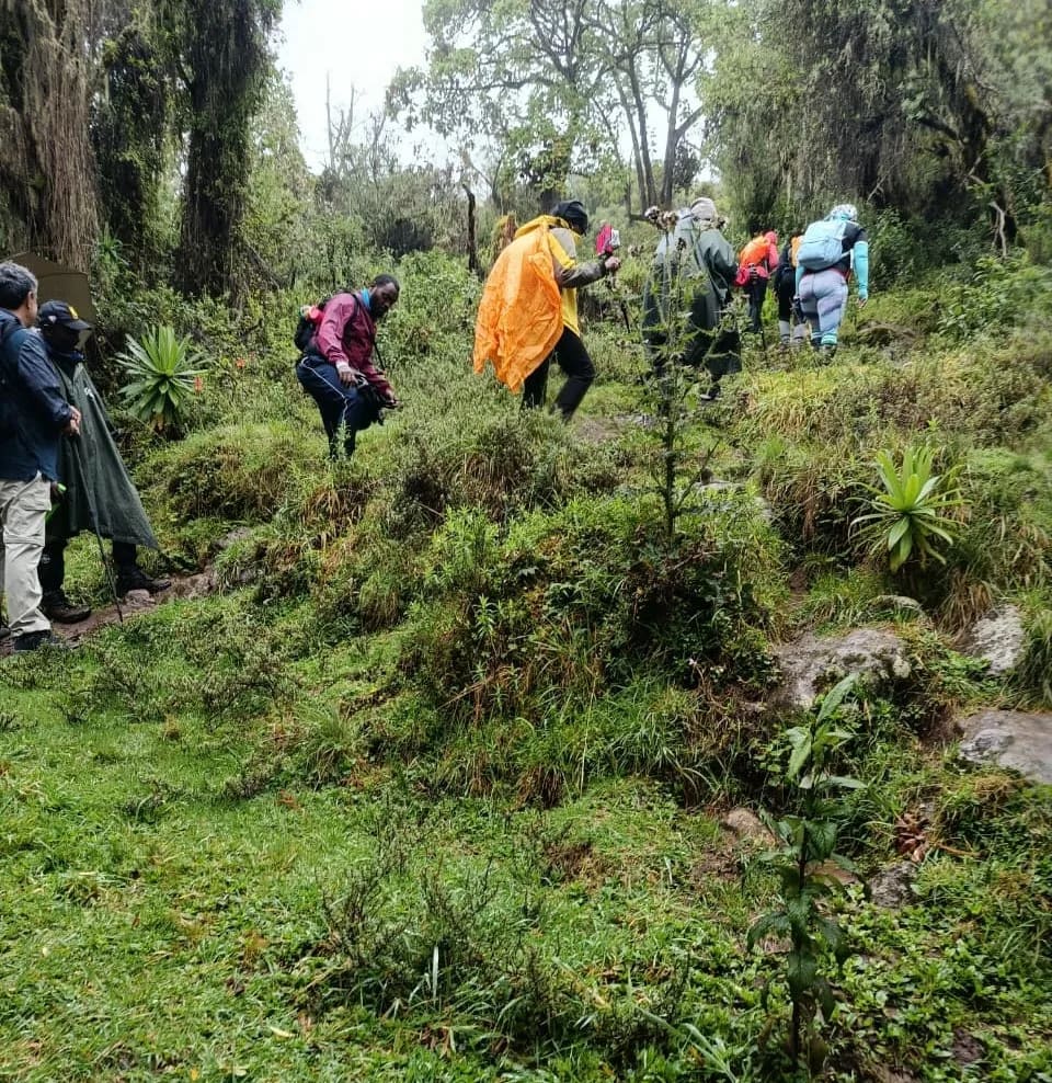 Teleki Valley Mackinders Quest Hike photo 3