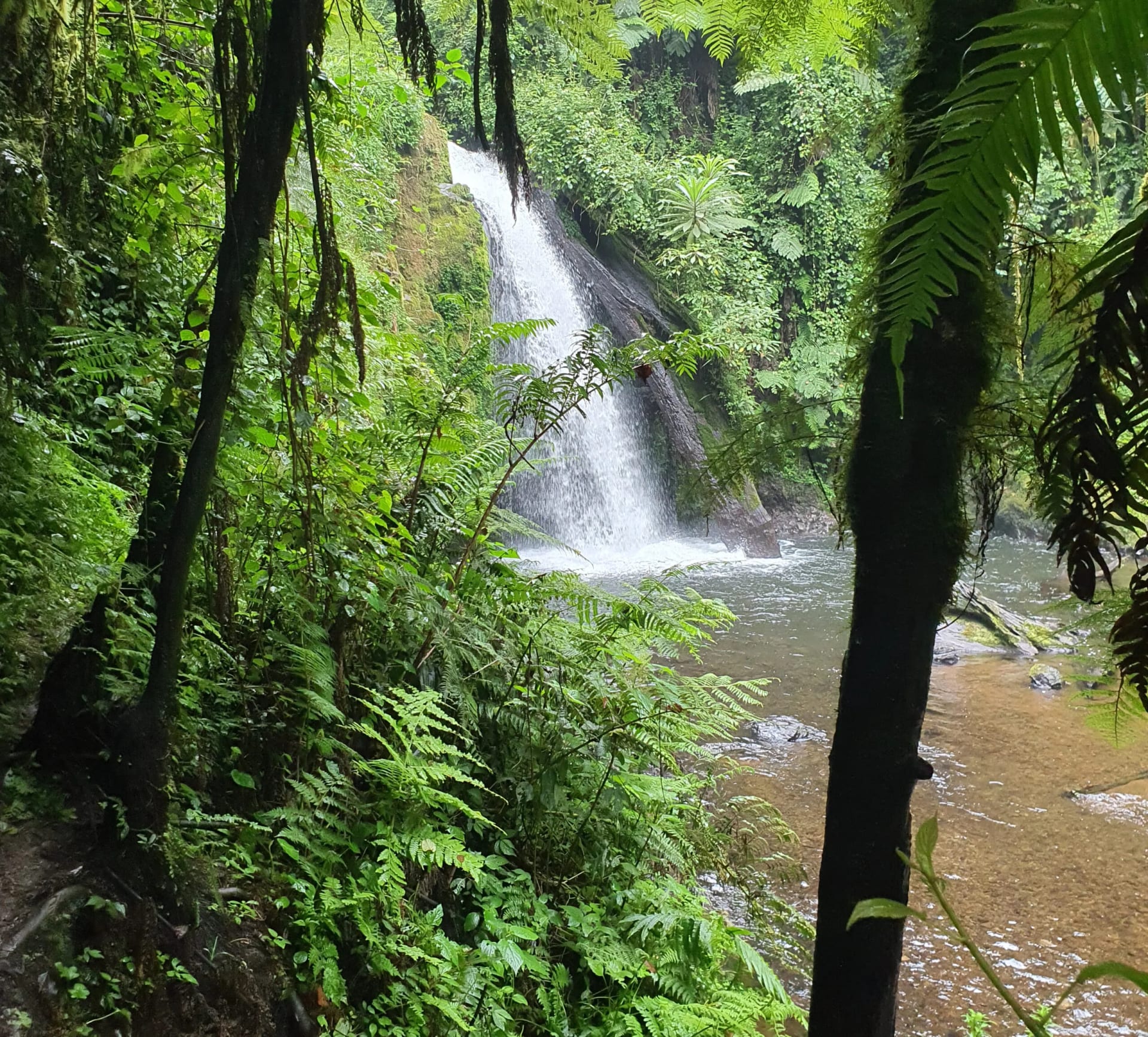 Castle Forest & Kamweti Fall Hike photo 1