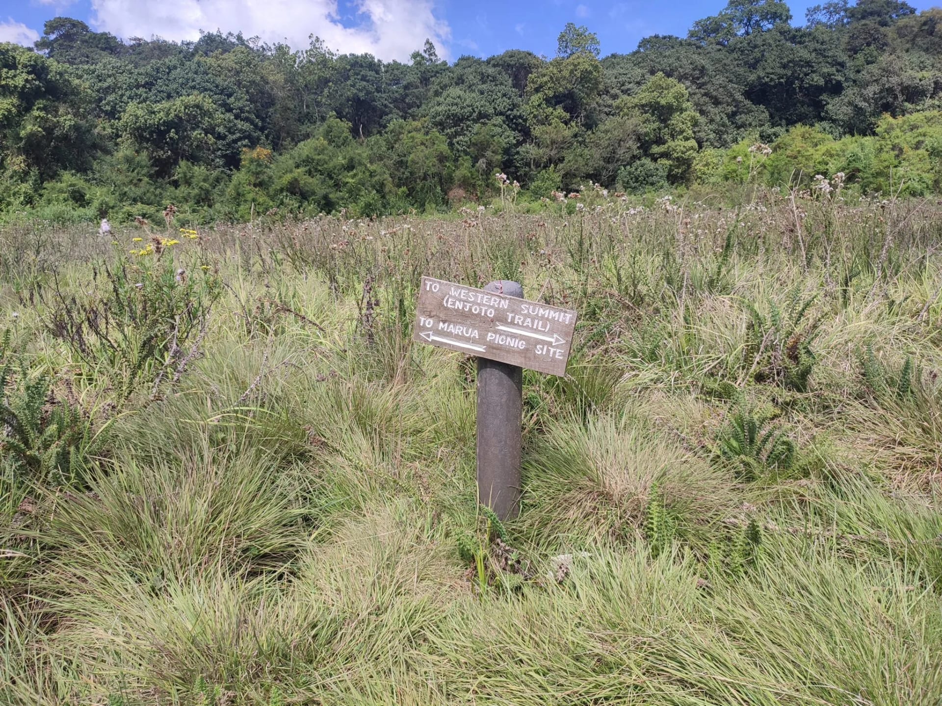 Oldoinyo Eburru Forest Hike photo 4