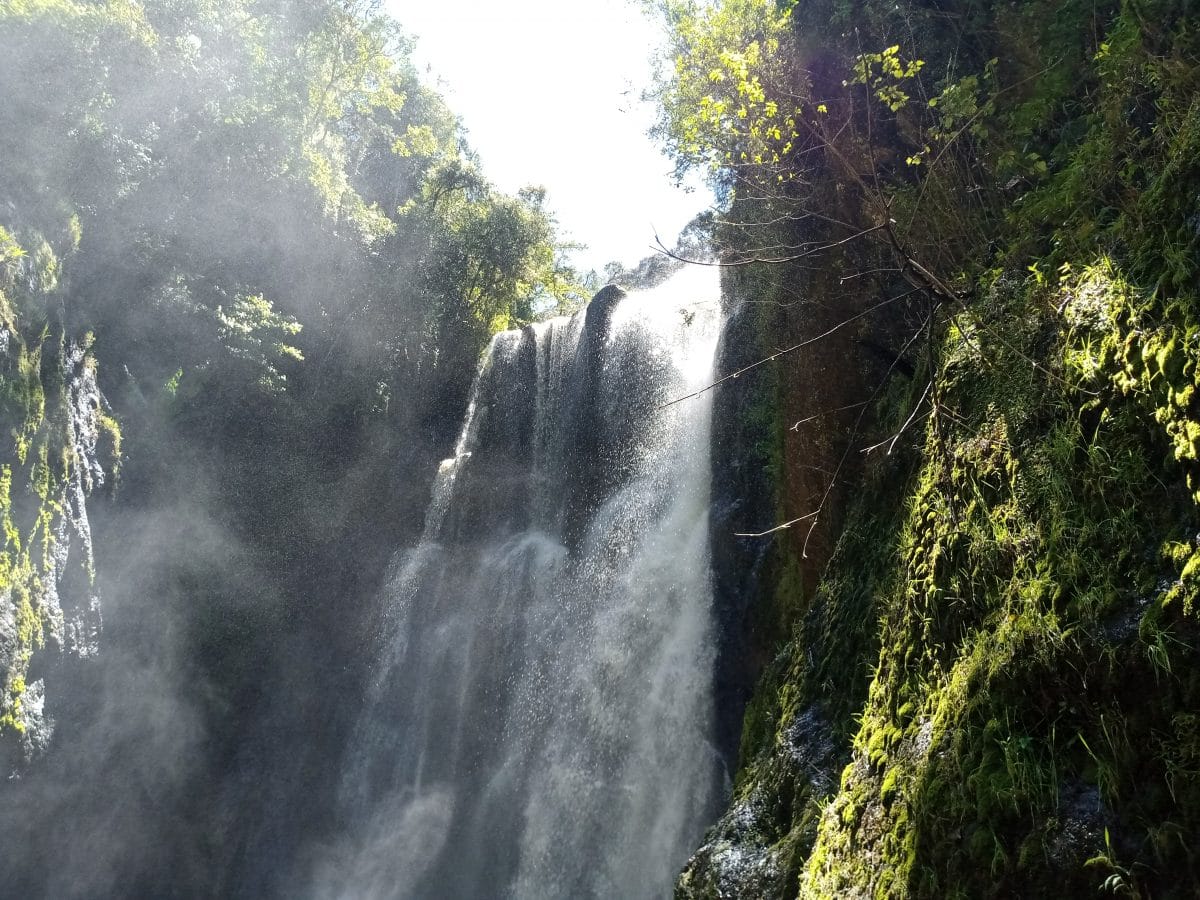 Ragia Forest & Waterfall Chase Hike
