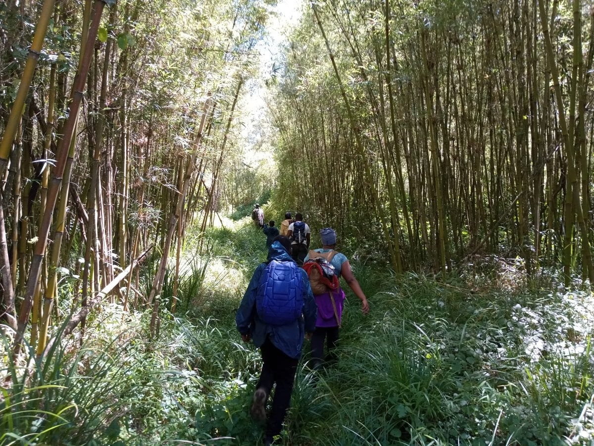 Ragia Forest & Waterfall Chase Hike photo 4