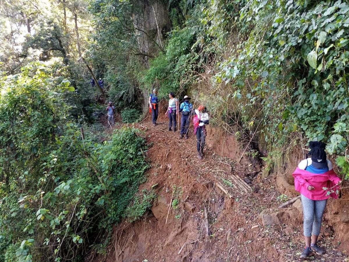 Ragia Forest & Waterfall Chase Hike photo 2