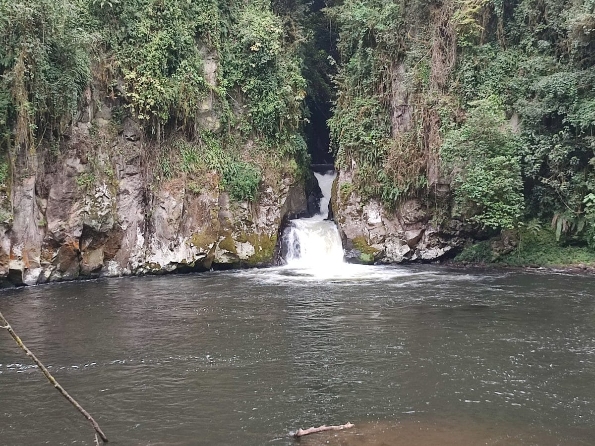 Kathandeni Forest Hike photo 2