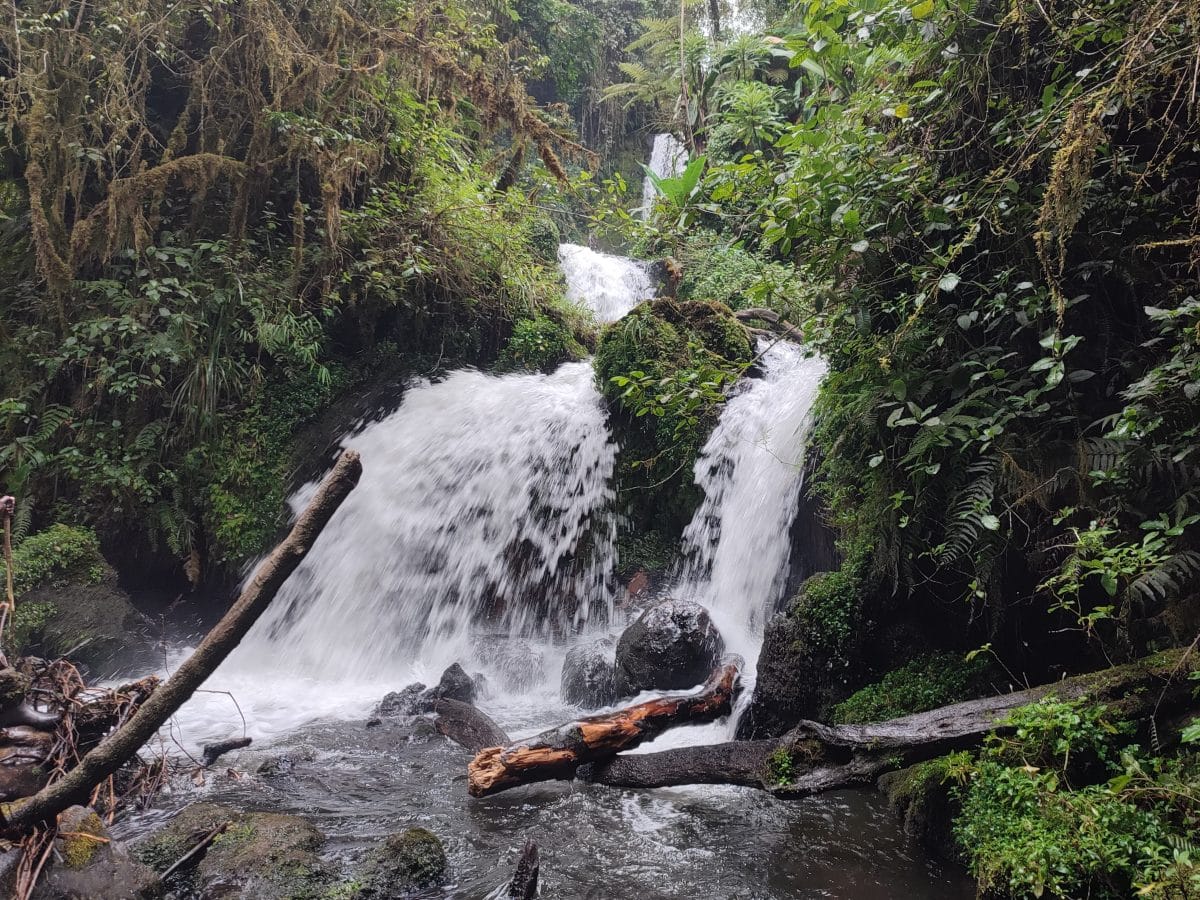 Kathandeni Forest Hike photo 1